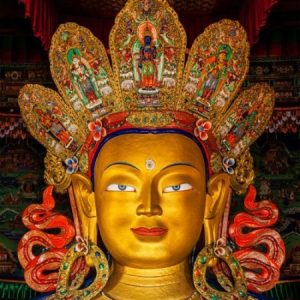 Group logo of Basic Programme Students